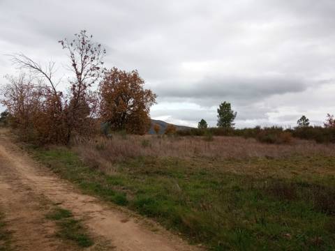 Quintinha em Penamacor