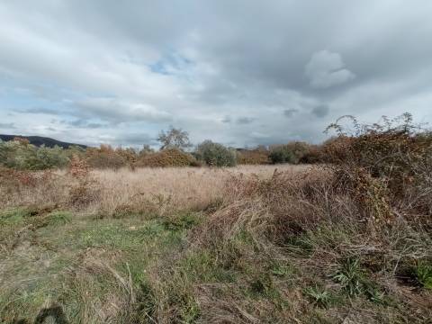 Quintinha em Penamacor