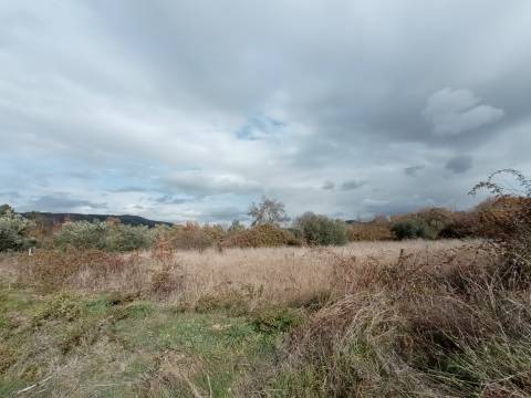 Quintinha em Penamacor
