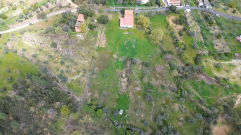 Terreno para venda, na freguesia de Sarzedas, Castelo Branco