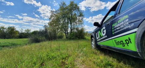 Terreno para venda, na freguesia de Sarzedas, Castelo Branco