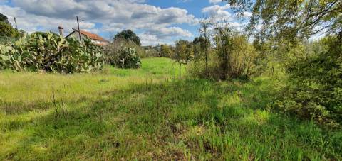 Terreno para venda, na freguesia de Sarzedas, Castelo Branco