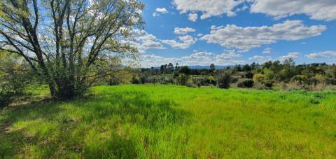Terreno para venda, na freguesia de Sarzedas, Castelo Branco