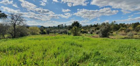 Terreno para venda, na freguesia de Sarzedas, Castelo Branco