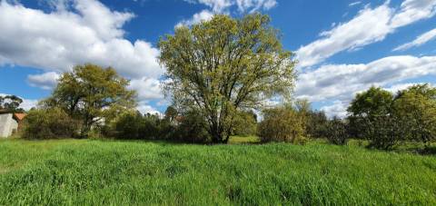 Terreno para venda, na freguesia de Sarzedas, Castelo Branco