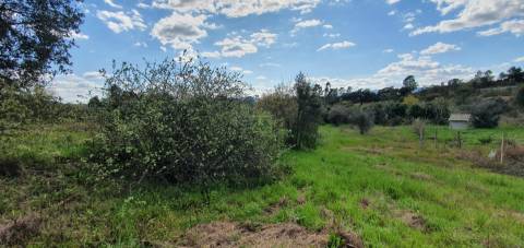 Terreno para venda, na freguesia de Sarzedas, Castelo Branco