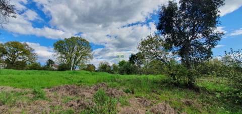 Terreno para venda, na freguesia de Sarzedas, Castelo Branco