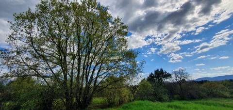 Terreno para venda, na freguesia de Sarzedas, Castelo Branco