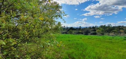 Terreno para venda, na freguesia de Sarzedas, Castelo Branco