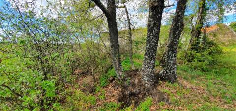 Terreno para venda, na freguesia de Sarzedas, Castelo Branco
