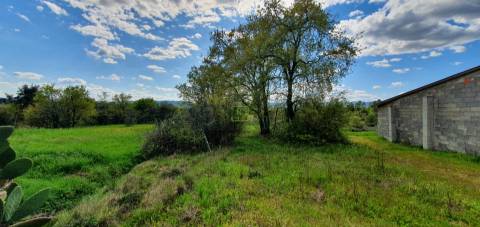 Terreno para venda, na freguesia de Sarzedas, Castelo Branco