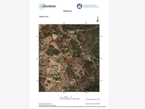Terreno na freguesia de Santo André das Tojeiras - Castelo Branco