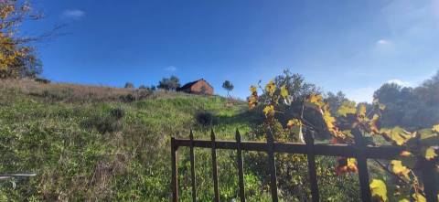 Quinta para venda, na freguesia de Toulões, Idanha-a-Nova