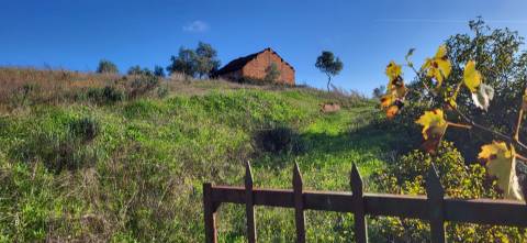 Quinta para venda, na freguesia de Toulões, Idanha-a-Nova