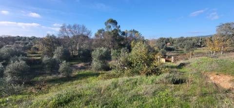 Quinta para venda, na freguesia de Toulões, Idanha-a-Nova