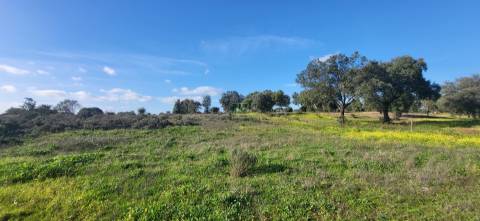 Quinta para venda, na freguesia de Toulões, Idanha-a-Nova