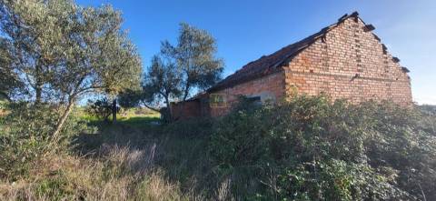 Quinta para venda, na freguesia de Toulões, Idanha-a-Nova