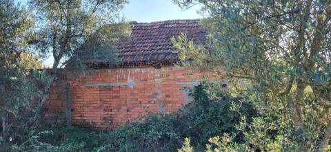 Quinta para venda, na freguesia de Toulões, Idanha-a-Nova