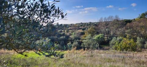 Quinta para venda, na freguesia de Toulões, Idanha-a-Nova