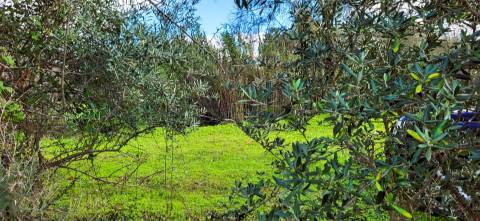 Terreno para venda, na freguesia de Toulões, Idanha-a-Nova