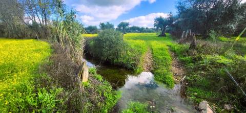 Terreno para venda, na freguesia de Toulões, Idanha-a-Nova