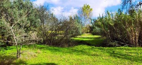 Terreno para venda, na freguesia de Toulões, Idanha-a-Nova