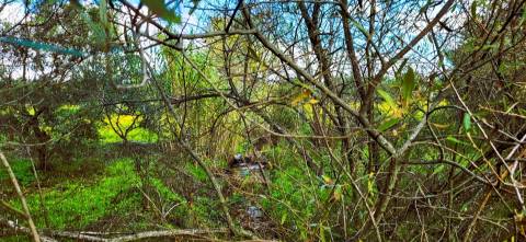 Terreno para venda, na freguesia de Toulões, Idanha-a-Nova