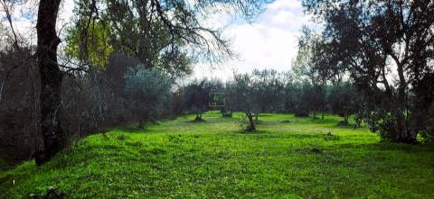 Terreno para venda, na freguesia de Toulões, Idanha-a-Nova