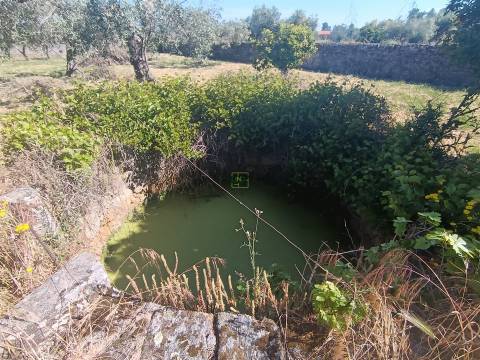 Moradia Rústica T4 em Aldeia de Santa Margarida