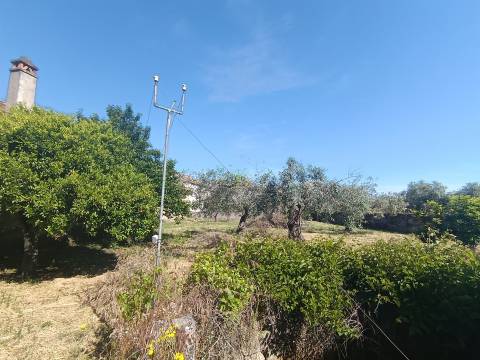 Moradia Rústica T4 em Aldeia de Santa Margarida