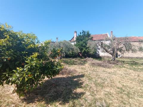 Moradia Rústica T4 em Aldeia de Santa Margarida