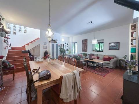 Fabulosa Quinta com 6 quartos - 2 casas legalizadas - A confinar com Ribeiro!