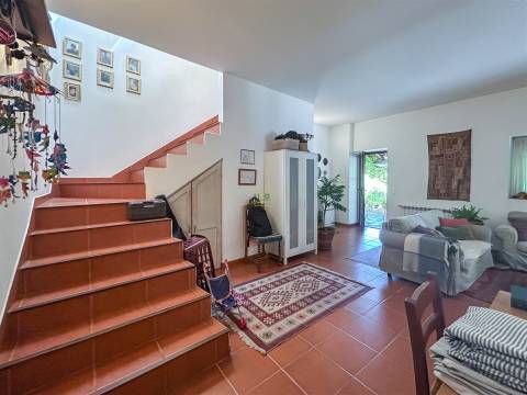 Fabulosa Quinta com 6 quartos - 2 casas legalizadas - A confinar com Ribeiro!