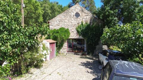 Fabulosa Quinta com 6 quartos - 2 casas legalizadas - A confinar com Ribeiro!