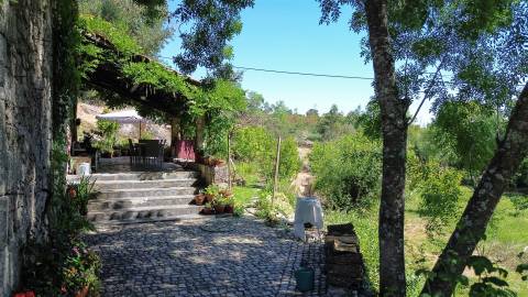 Fabulosa Quinta com 6 quartos - 2 casas legalizadas - A confinar com Ribeiro!