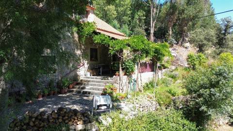 Fabulosa Quinta com 6 quartos - 2 casas legalizadas - A confinar com Ribeiro!