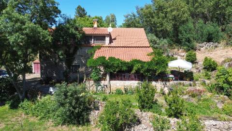 Fabulosa Quinta com 6 quartos - 2 casas legalizadas - A confinar com Ribeiro!