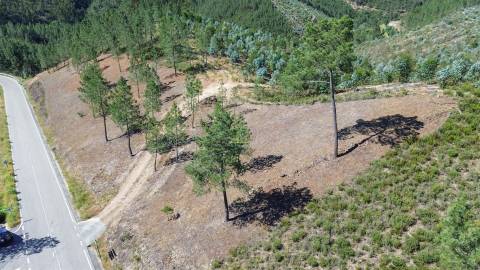 Quinta - 16960m2 com construção rural de 54m2