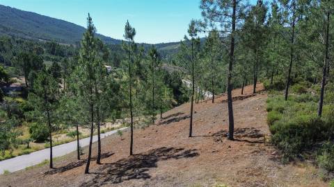 Quinta - 16960m2 com construção rural de 54m2