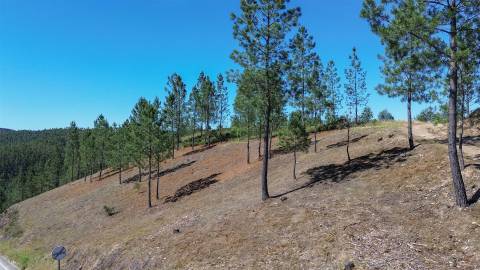 Quinta - 16960m2 com construção rural de 54m2