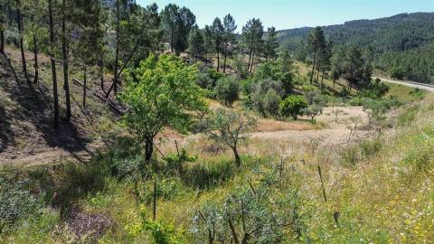 Quinta - 16960m2 com construção rural de 54m2