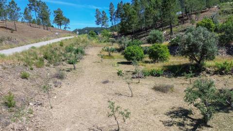 Quinta - 16960m2 com construção rural de 54m2