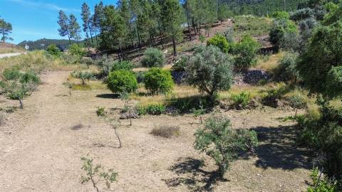 Quinta - 16960m2 com construção rural de 54m2