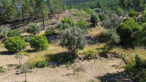 Quinta - 16960m2 com construção rural de 54m2