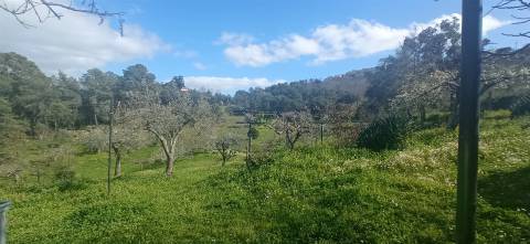 Quinta T2 Venda em Penamacor,Penamacor