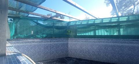 Quinta T2 Venda em Penamacor,Penamacor