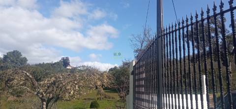 Quinta T2 Venda em Penamacor,Penamacor