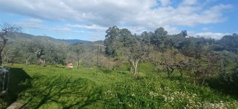 Quinta T2 Venda em Penamacor,Penamacor