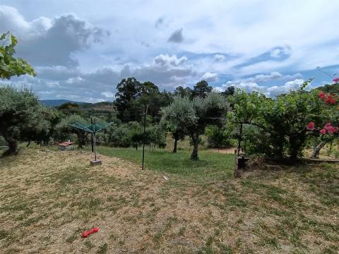 Quinta T2 Venda em Penamacor,Penamacor