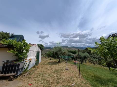 Quinta T2 Venda em Penamacor,Penamacor